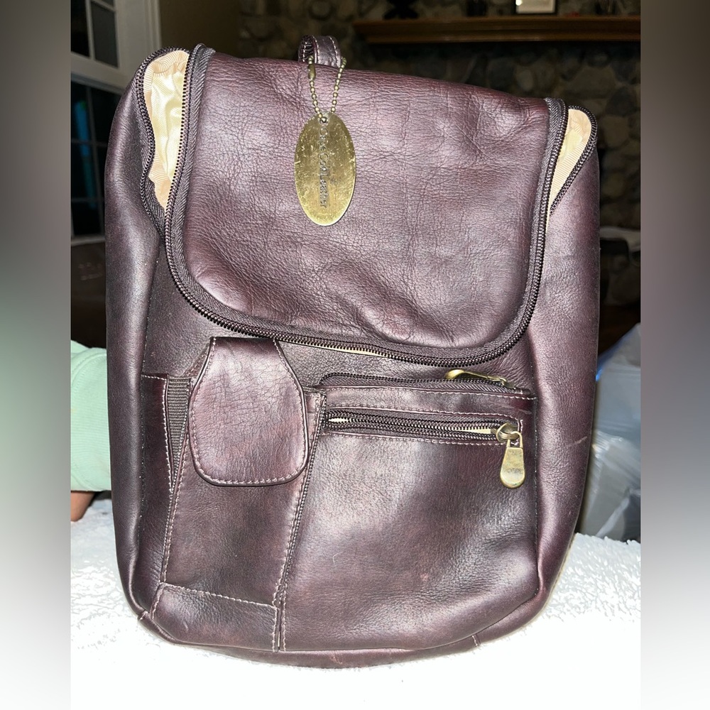 Capecod Genuine Leather Mini Backpack - image 1